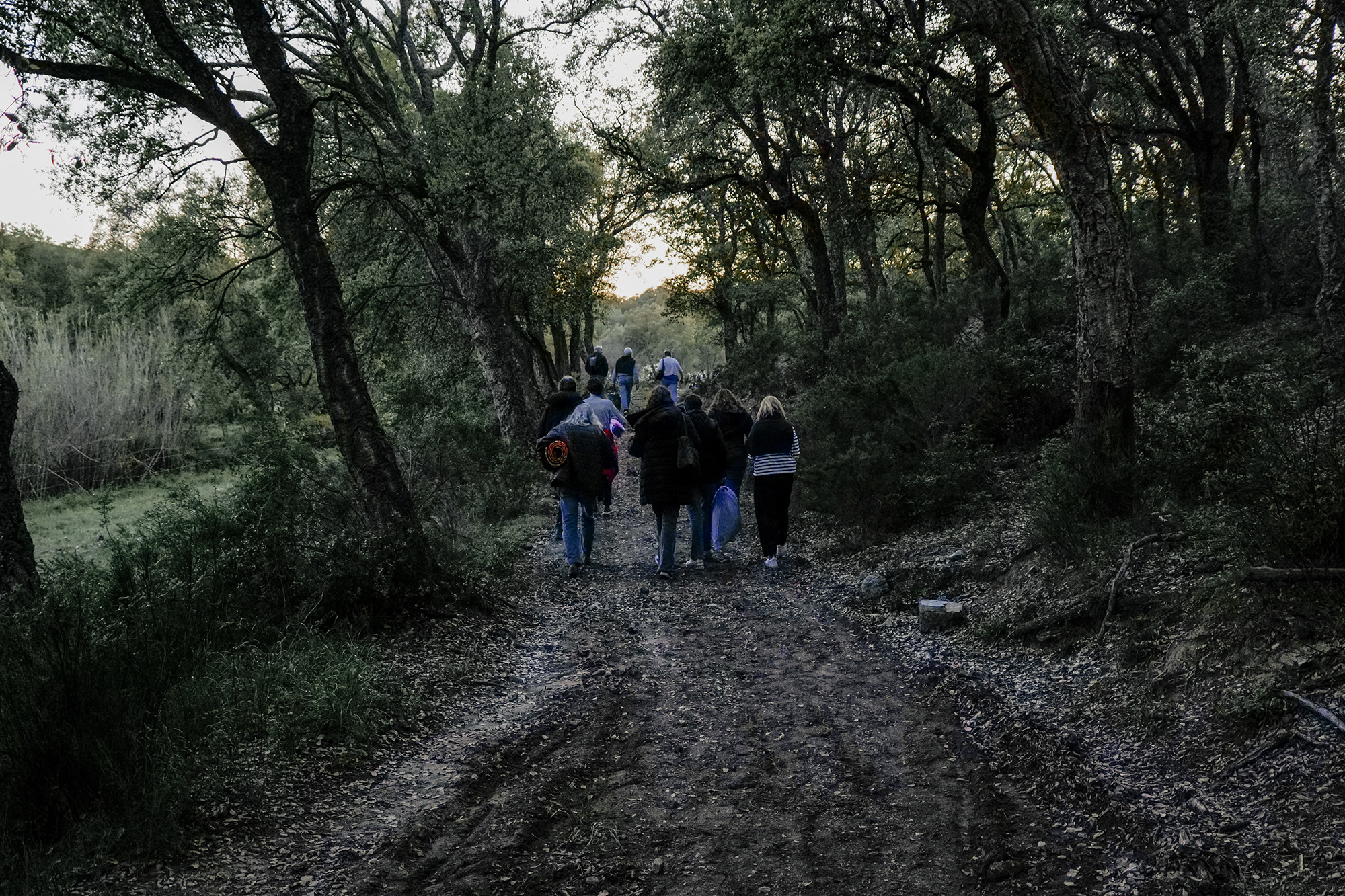 Camí de Can Genís