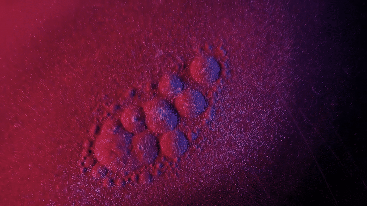 Slow Violence, Hamill Industries