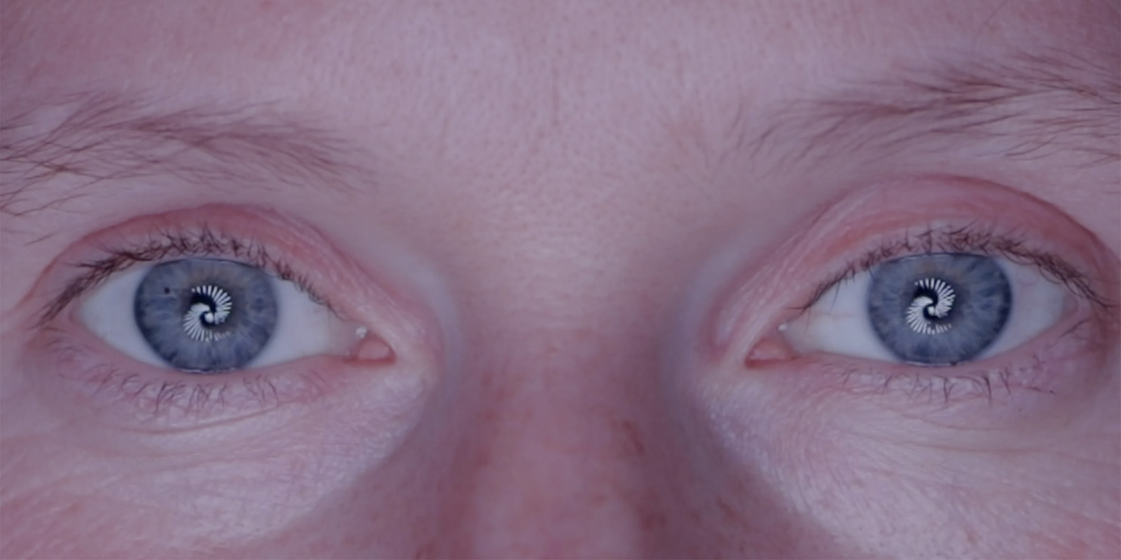 Albert Barqué-Duran, Vestibular_1, 2020.