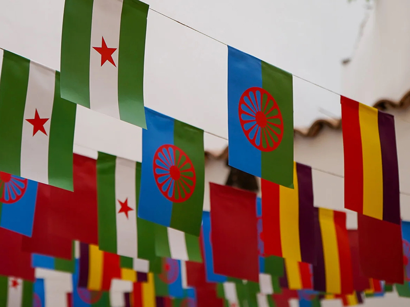 Banderizas, Pedro G Romero