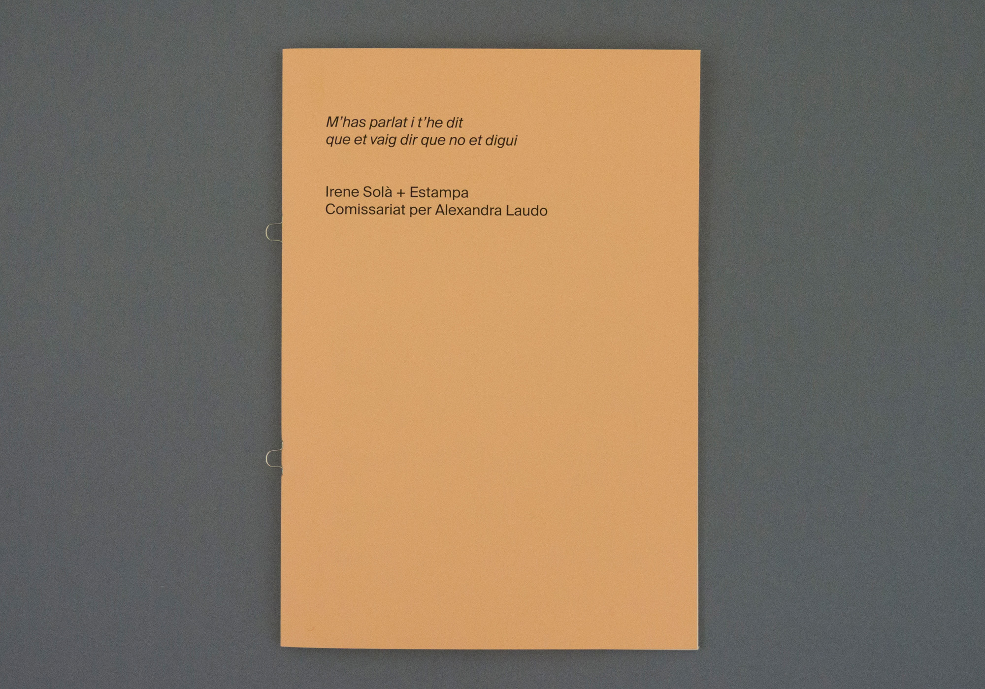 M’has parlat i t’he dit que vaig dir que no et digui, Alexandra Laudo, Taller Estampa, Irene Solà, 2024.