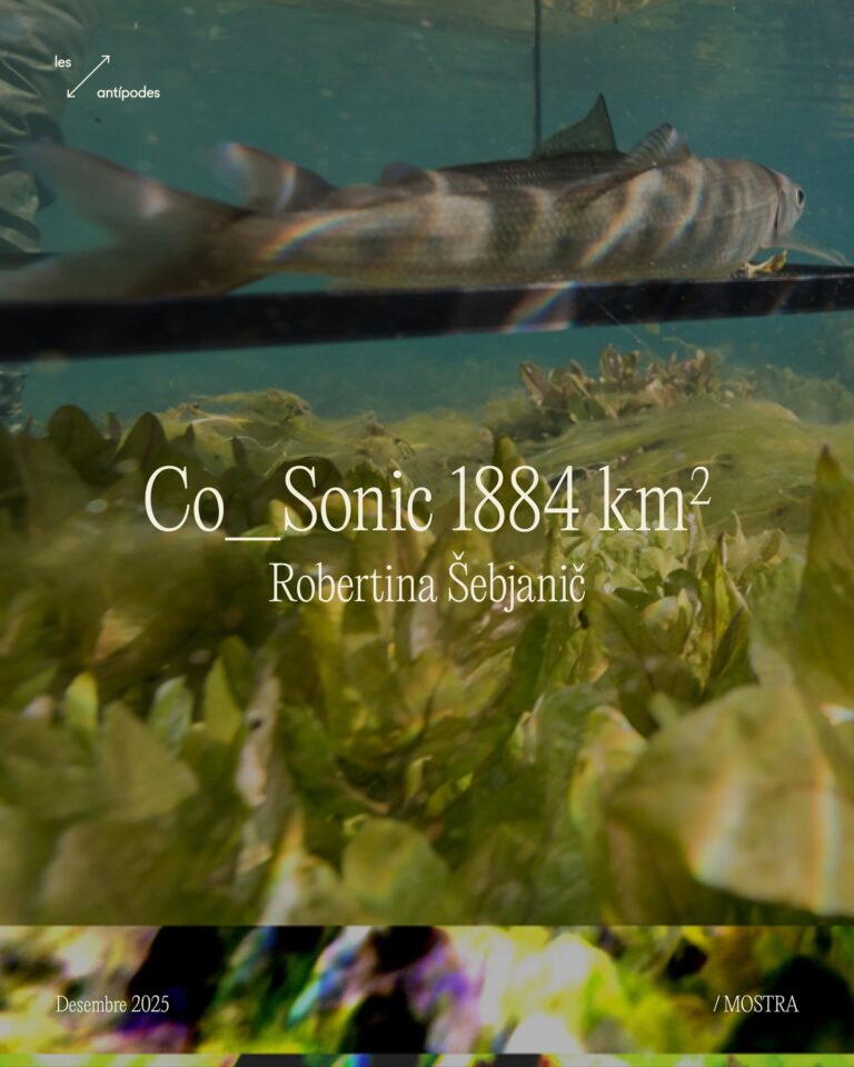 Instagram post from elsantipodes. This post is in position 3.